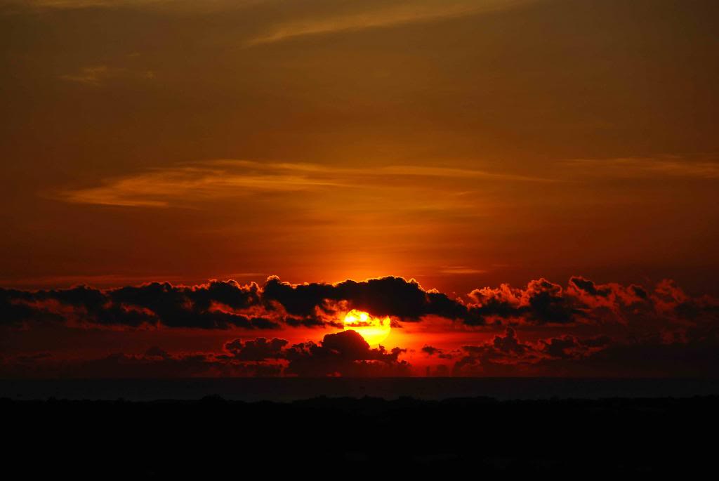 DSC_2295_zps6165d19a.jpg