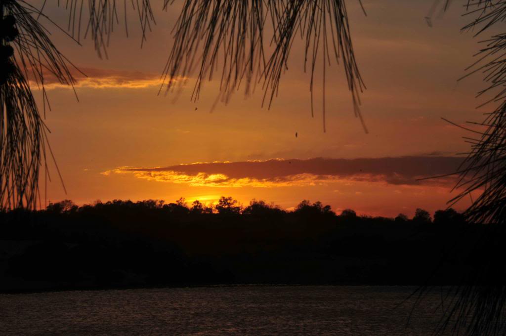 DSC_2420_zps3f0f0af1.jpg