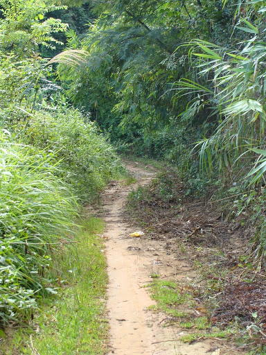 DSC03570.JPG