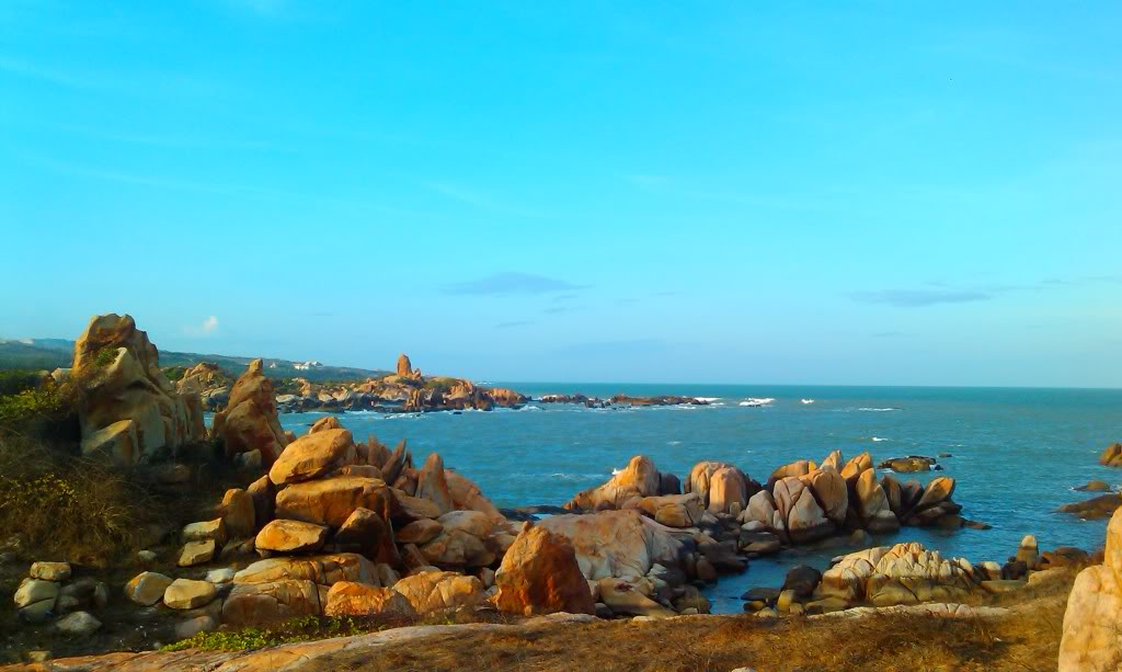 IMAG0605.jpg
