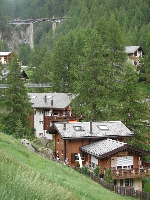 DSC09792.jpg