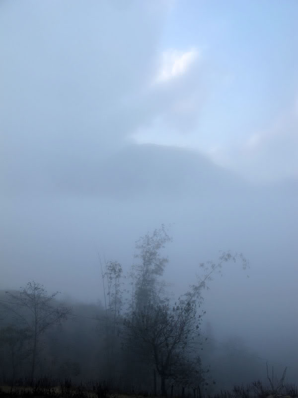 HongNgai2011509.jpg