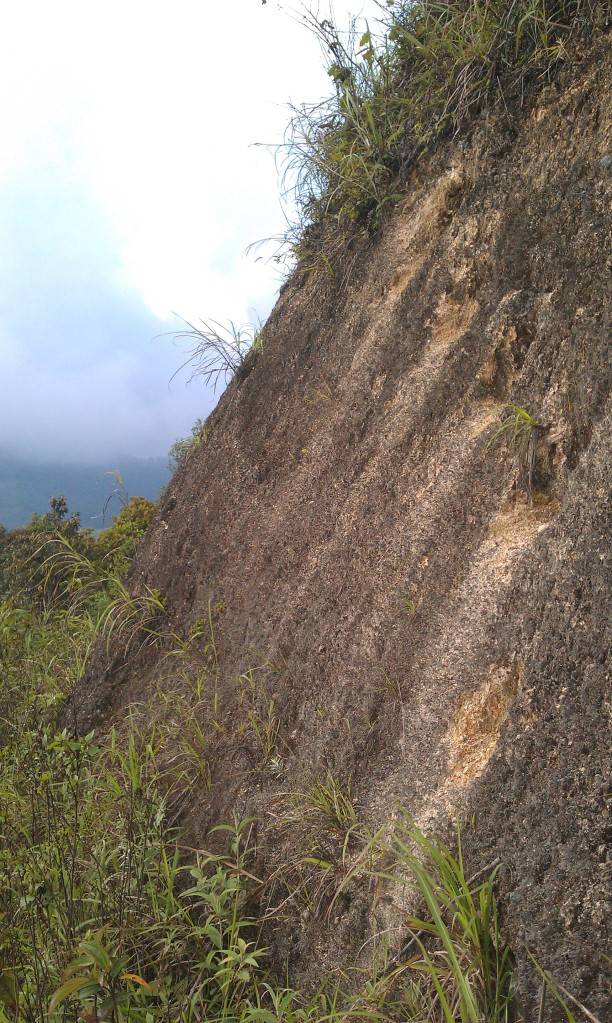 IMAG0203.jpg