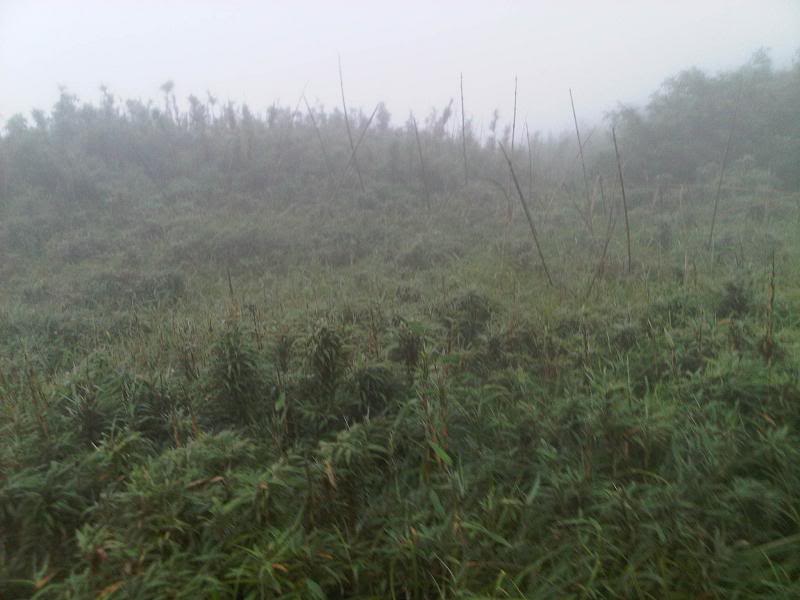 2011_575.jpg