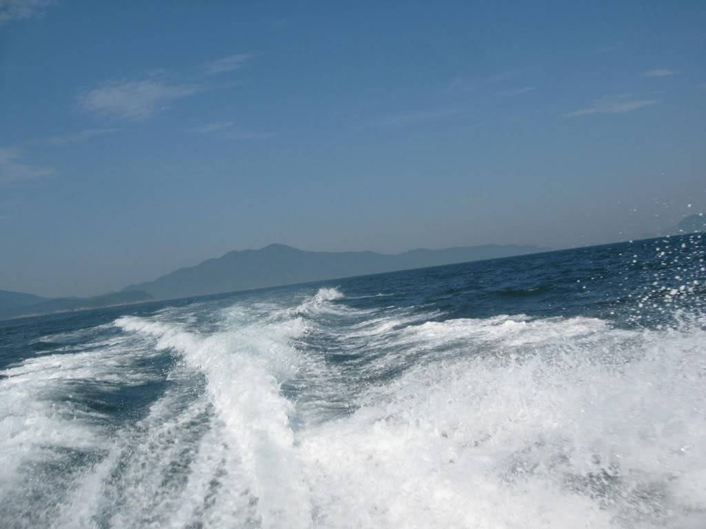 IMG_0778.jpg