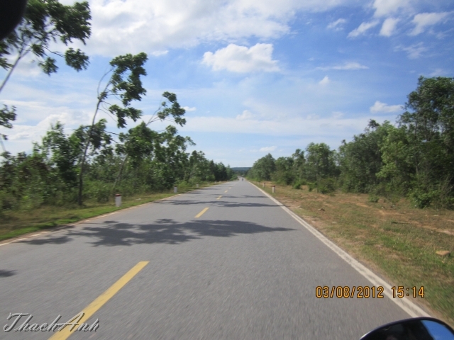 IMG_7986-Copy.jpg