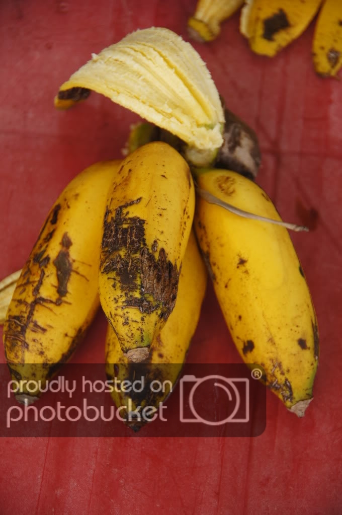 DSC02583.jpg