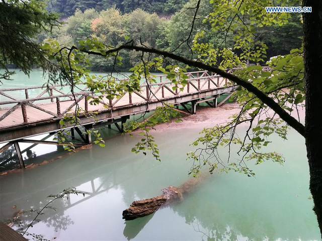 cuu-trai-cau-2-1502336291260.jpg