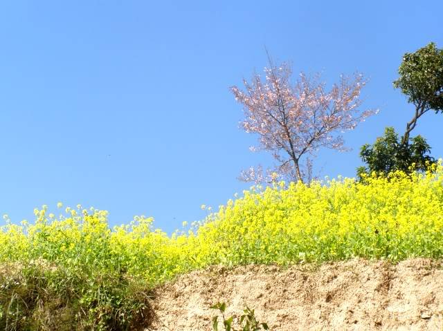 PB010033.jpg