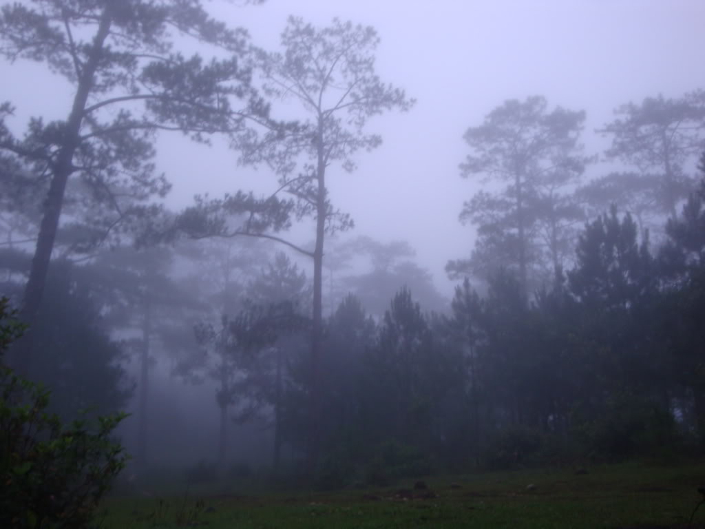 DSC05267.jpg