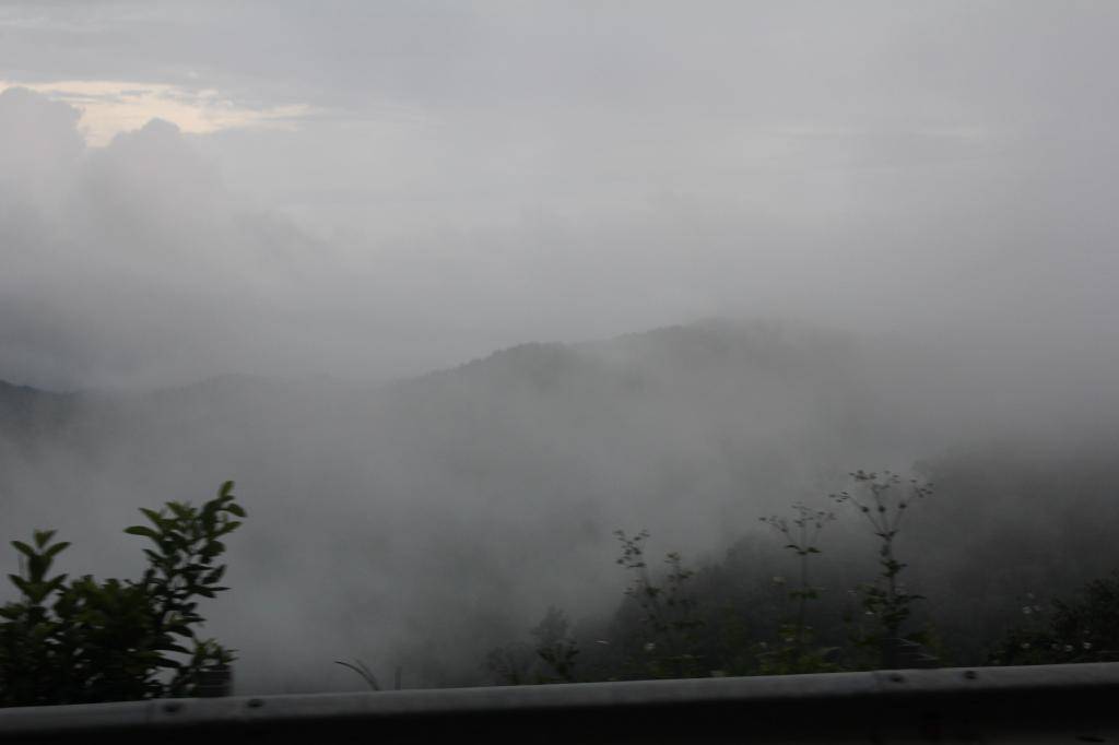 IMG_4595.jpg