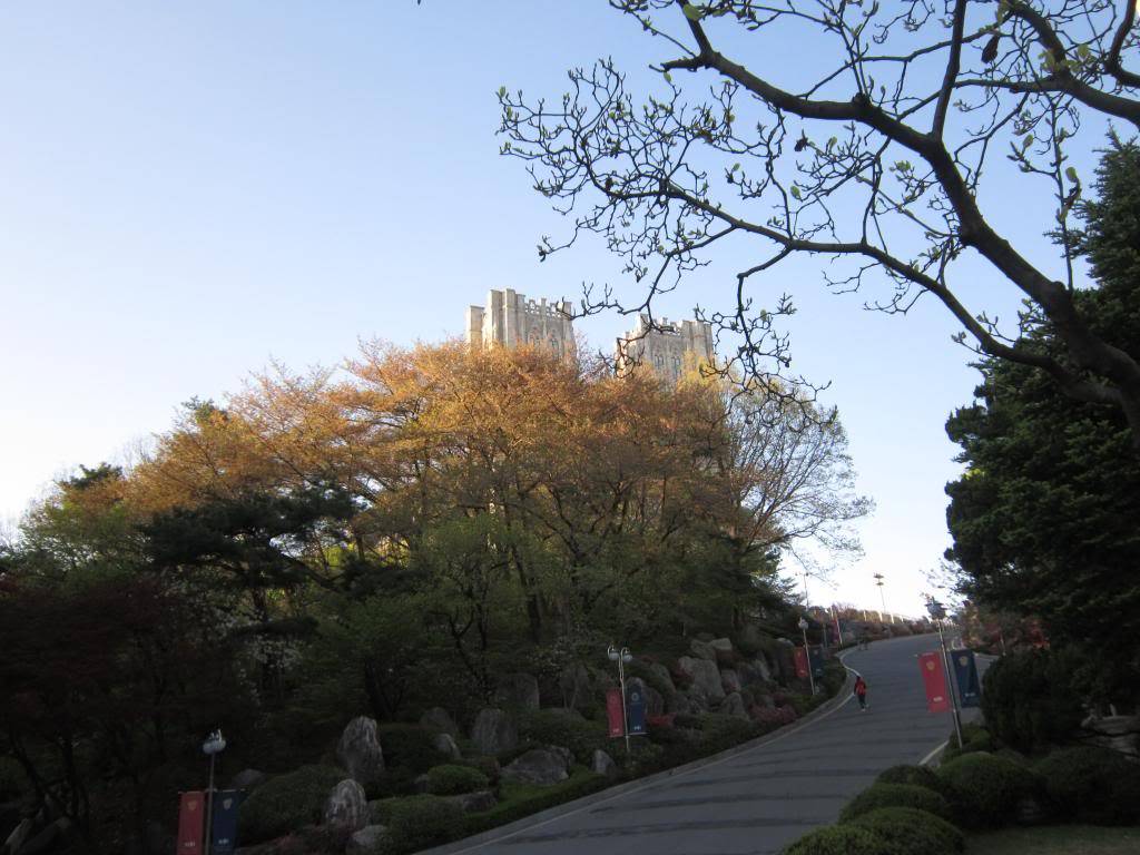 IMG_2436_zpsa2b33d4a.jpg