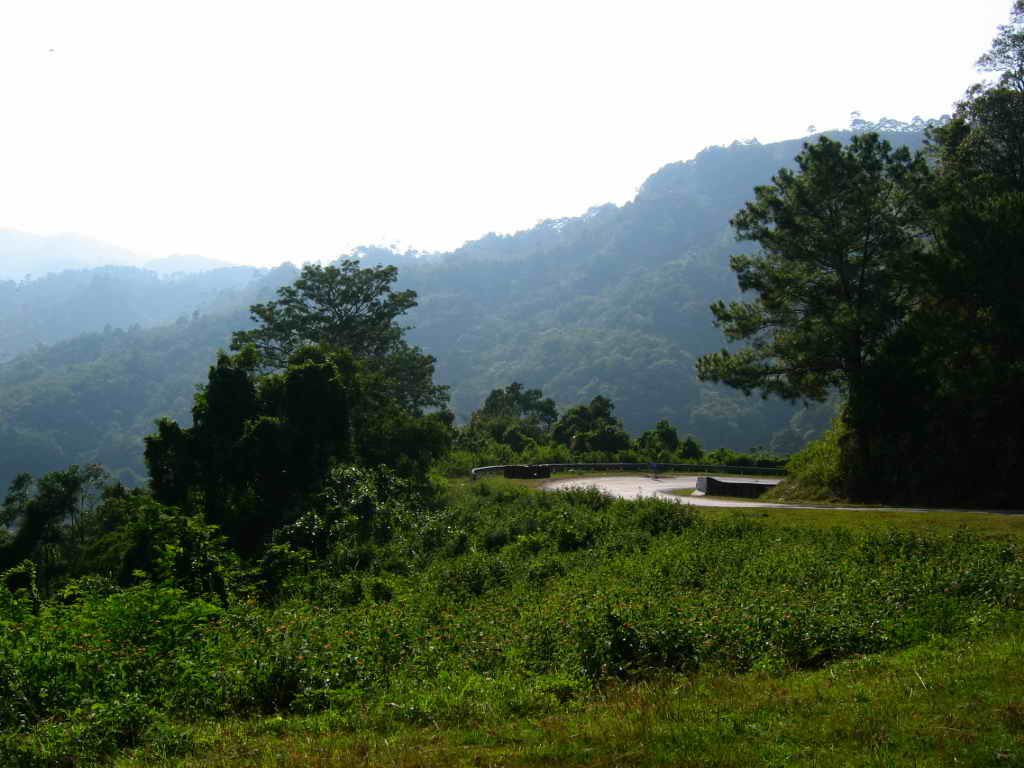 Picture735.jpg