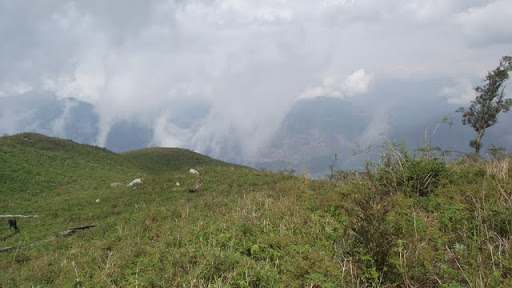 DSCF0435.JPG