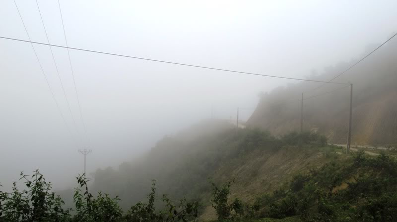 IMG_2427.jpg