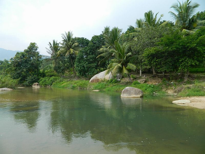 DSCN2583.jpg