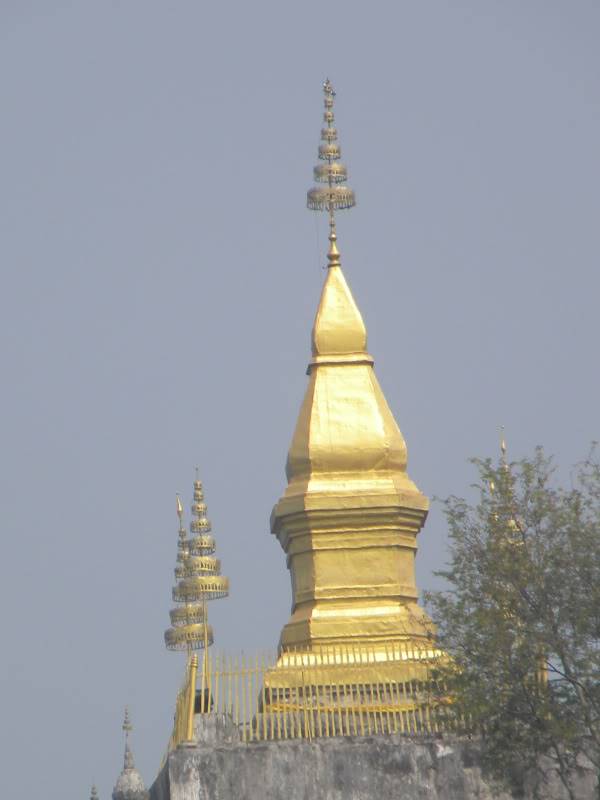 DSCN5516.jpg