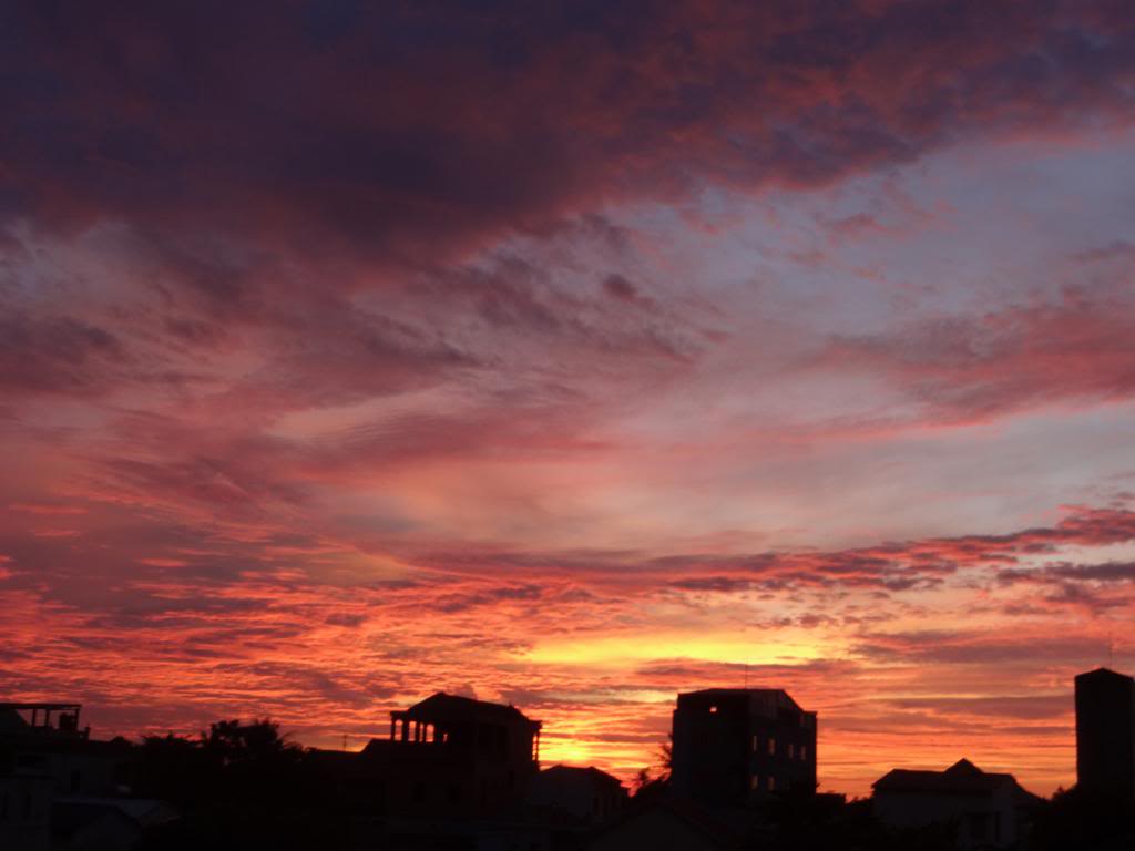 DSC03655_zps7ca53694.jpg