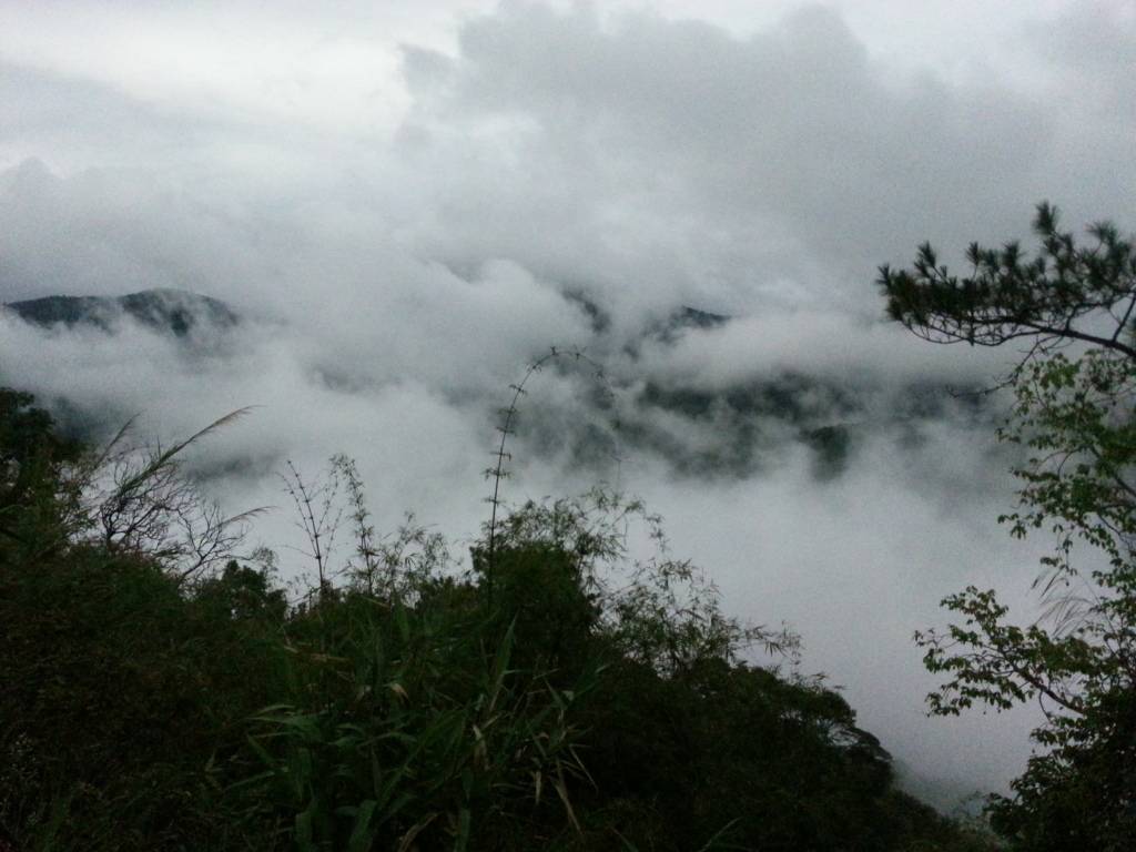 20130601_170934_zpsbe664dd9.jpg