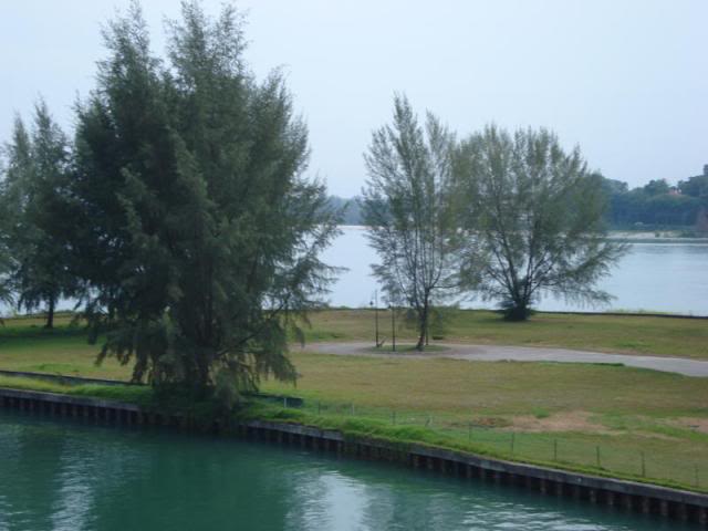 DSC07570.jpg