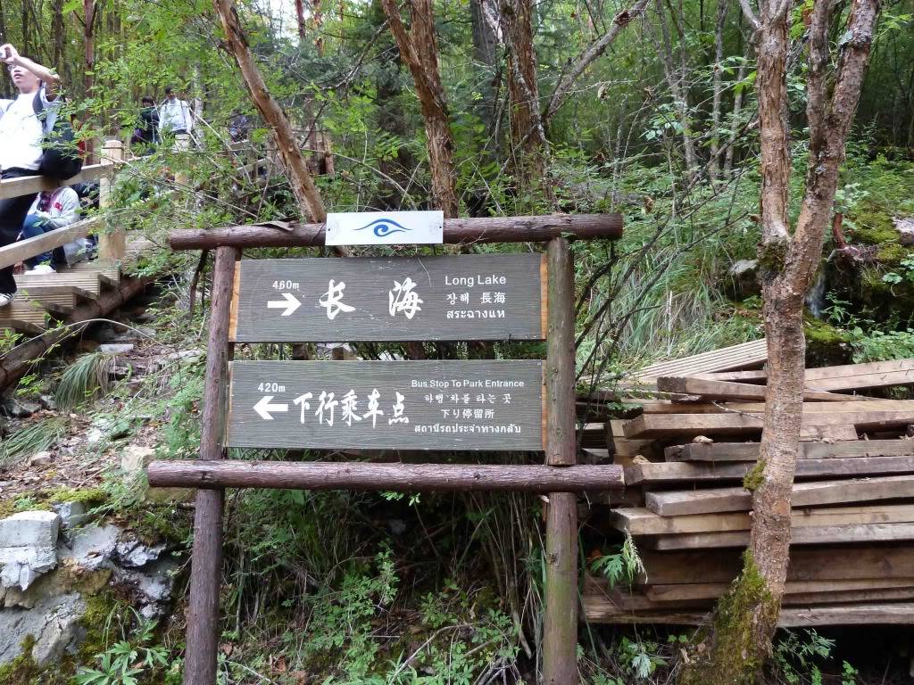 L1040833.jpg