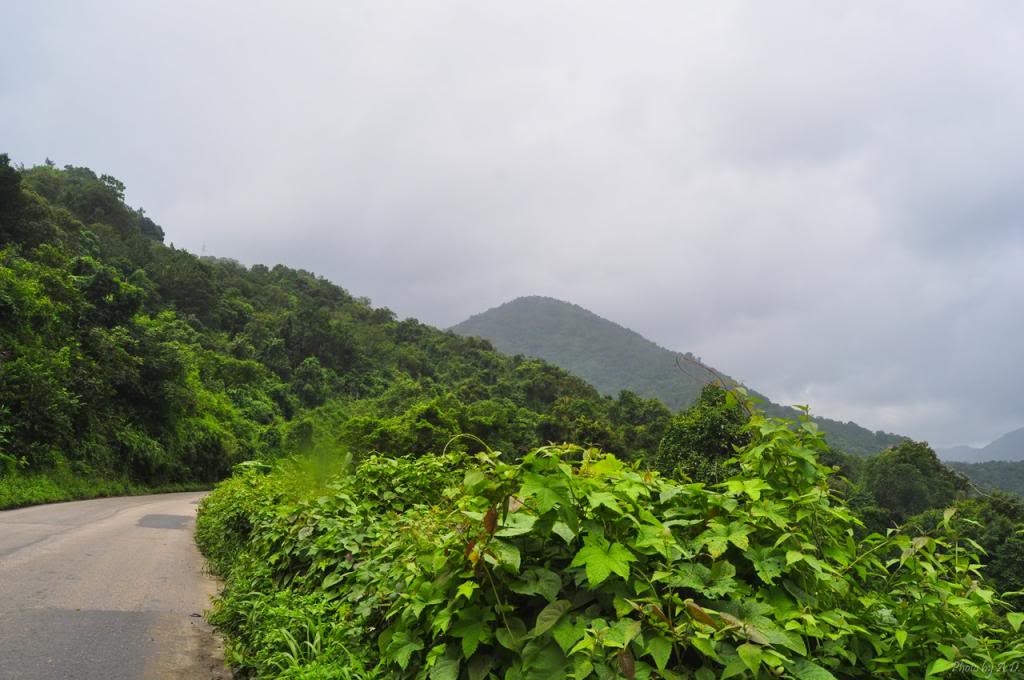 DSC_0009_zps93397423.jpg