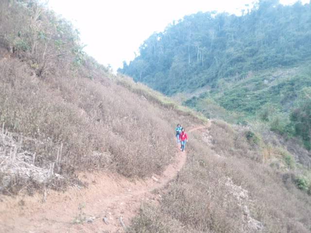 P1020560.jpg