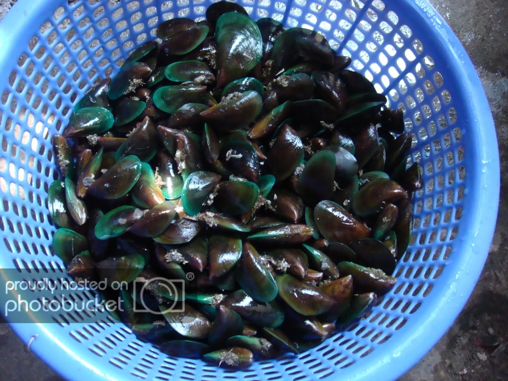 DSC00824.jpg