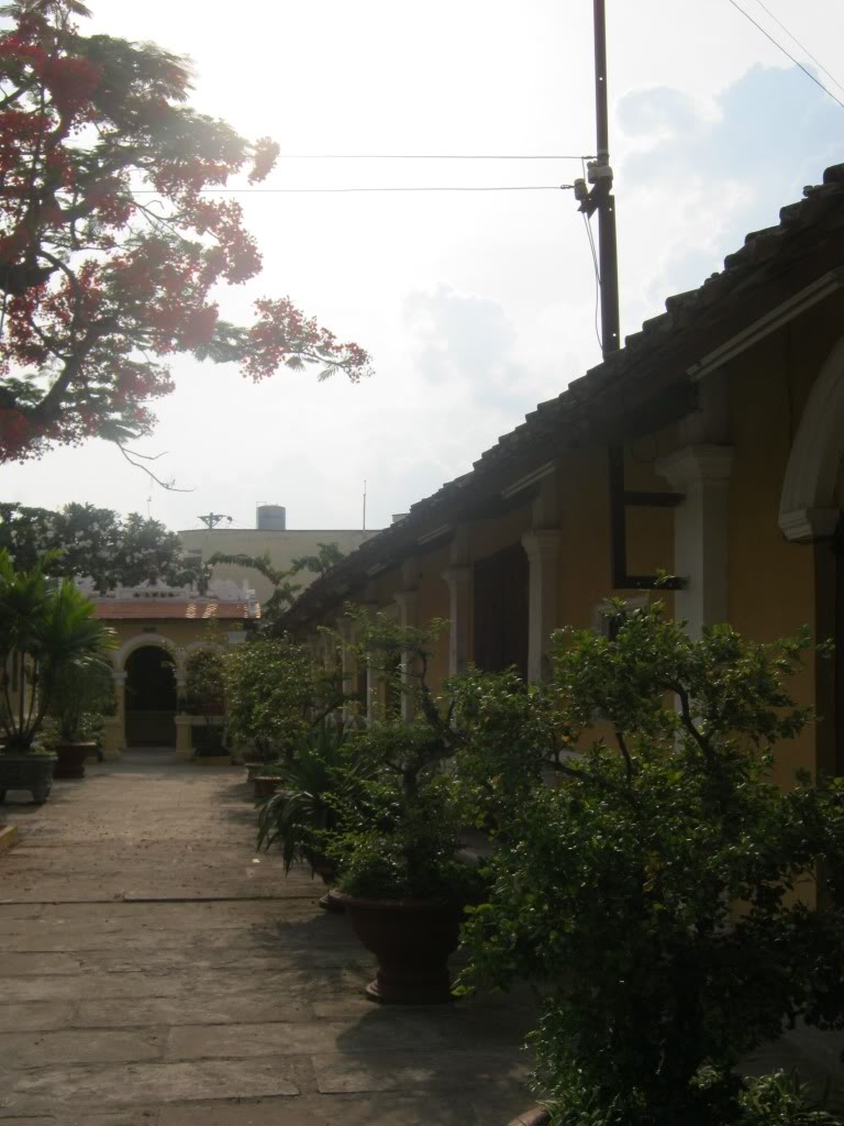 IMG_7783.jpg