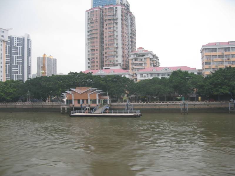 IMG_8909.jpg