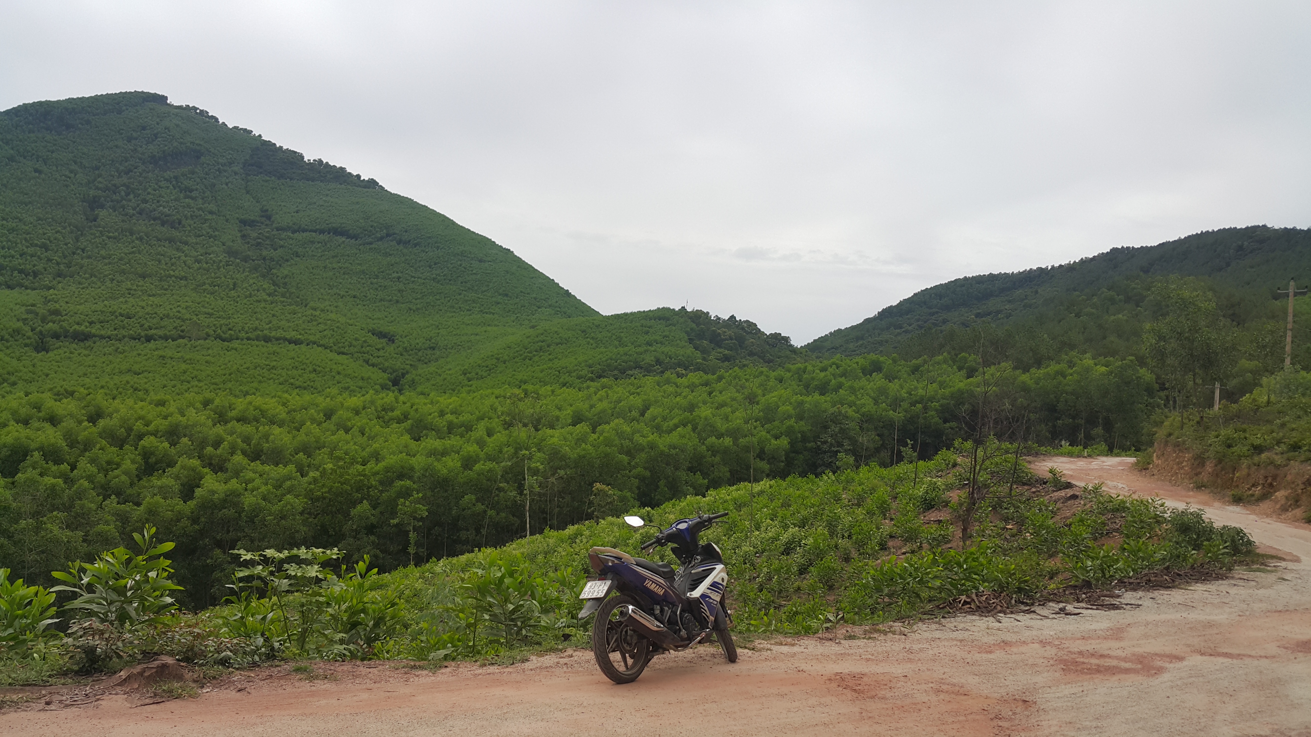20170618_153630.jpg