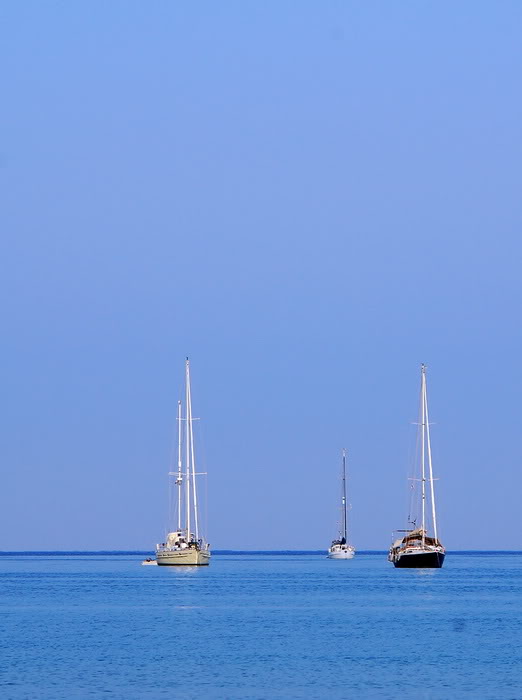 DSC_6868_resize.jpg