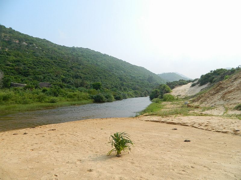 DSCN2405.jpg