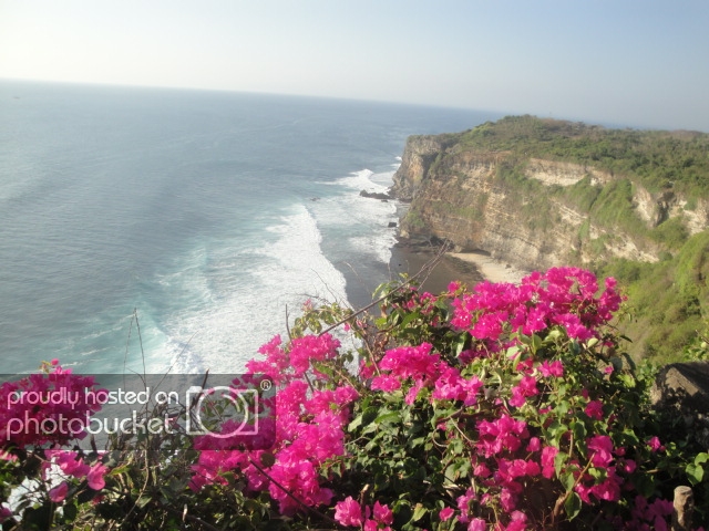 DSC07687_zpsa7b8d1ae.jpg
