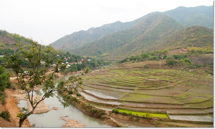 thanhhoa27of46.jpg
