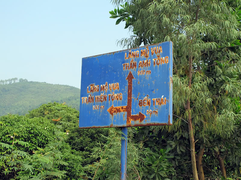 TayYenTu1010479.jpg
