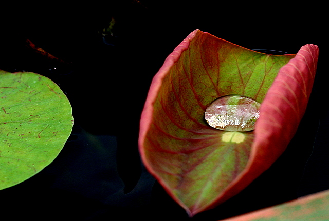 12048205a987b5ce.jpg