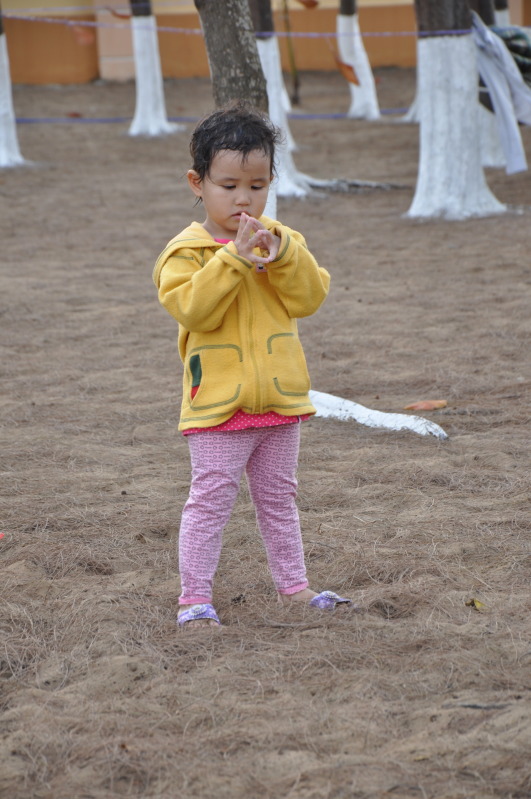 DSC_0244.jpg