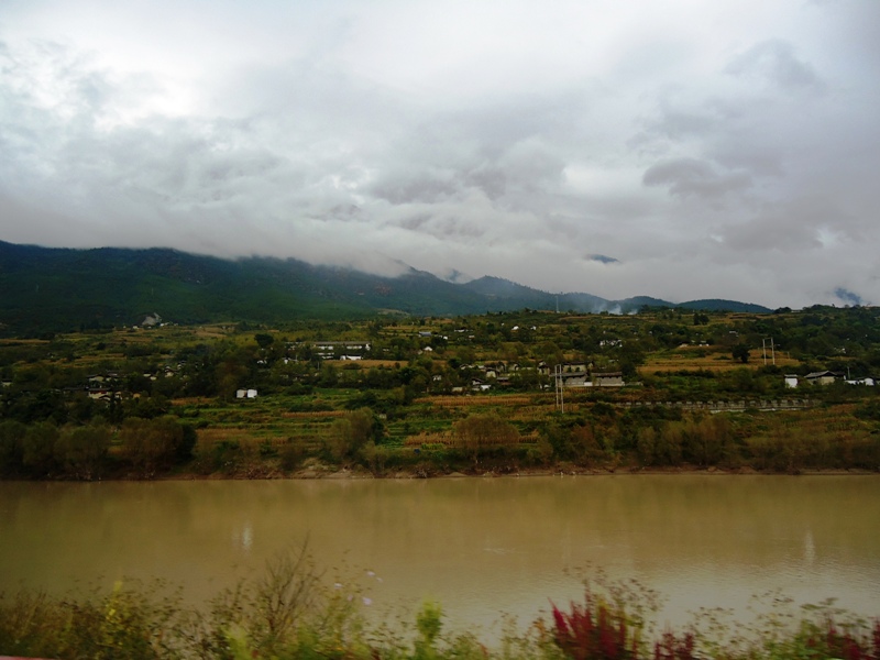 DSC05611.jpg