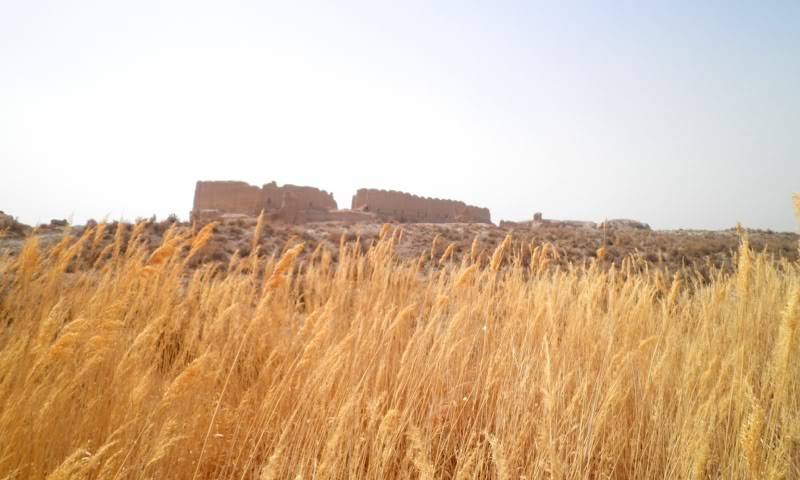 P4100200-1.jpg