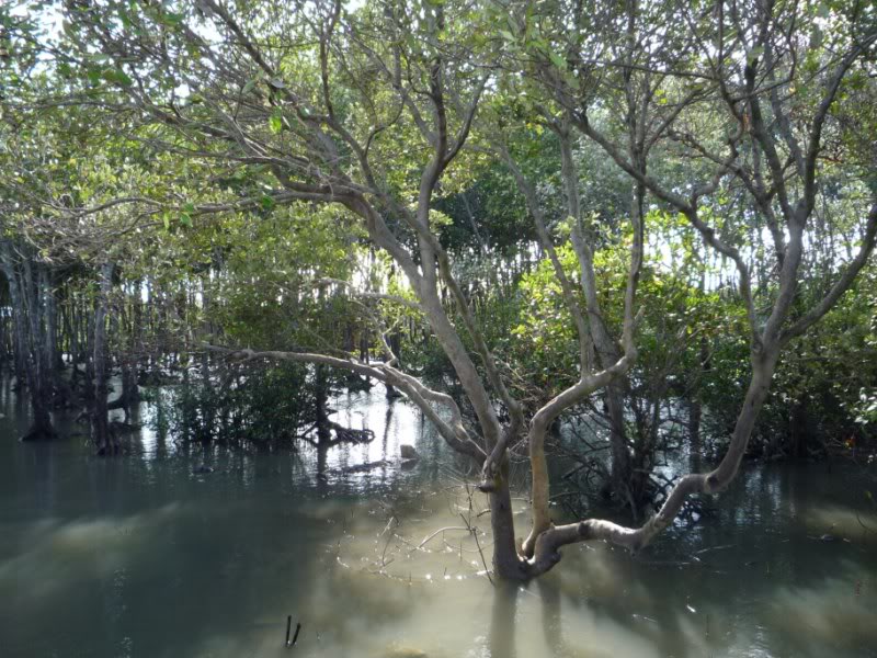 P1030167800x600.jpg