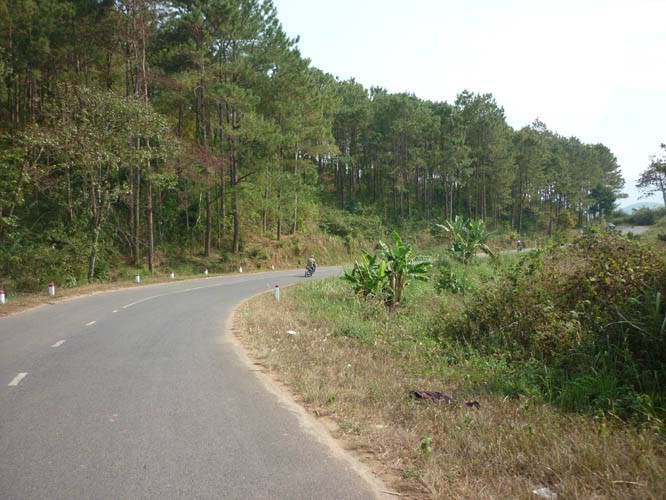 P1070355.jpg