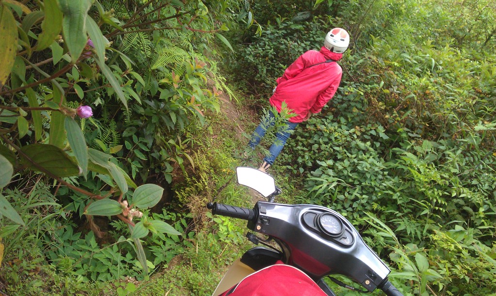 IMAG0144.jpg
