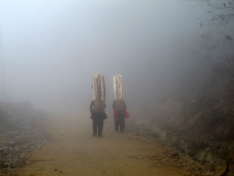 HongNgai2011748.jpg