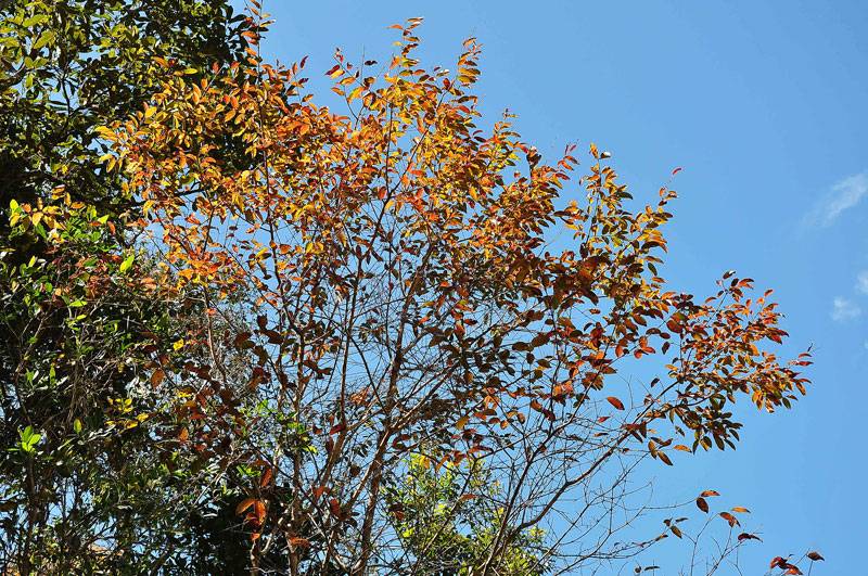 DSC_8146.jpg