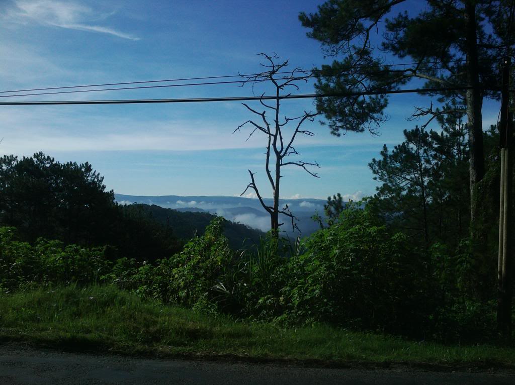 110_zpsbfe8a822.jpg