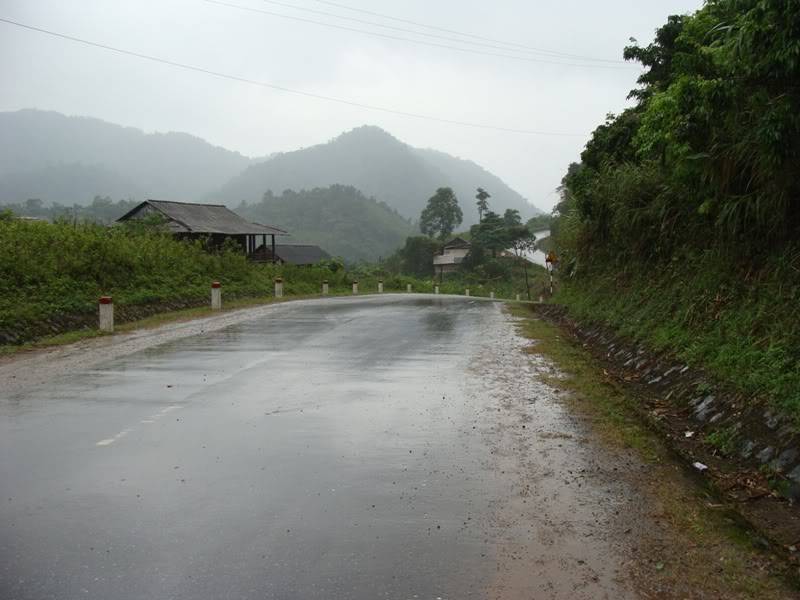 DSC08558.jpg