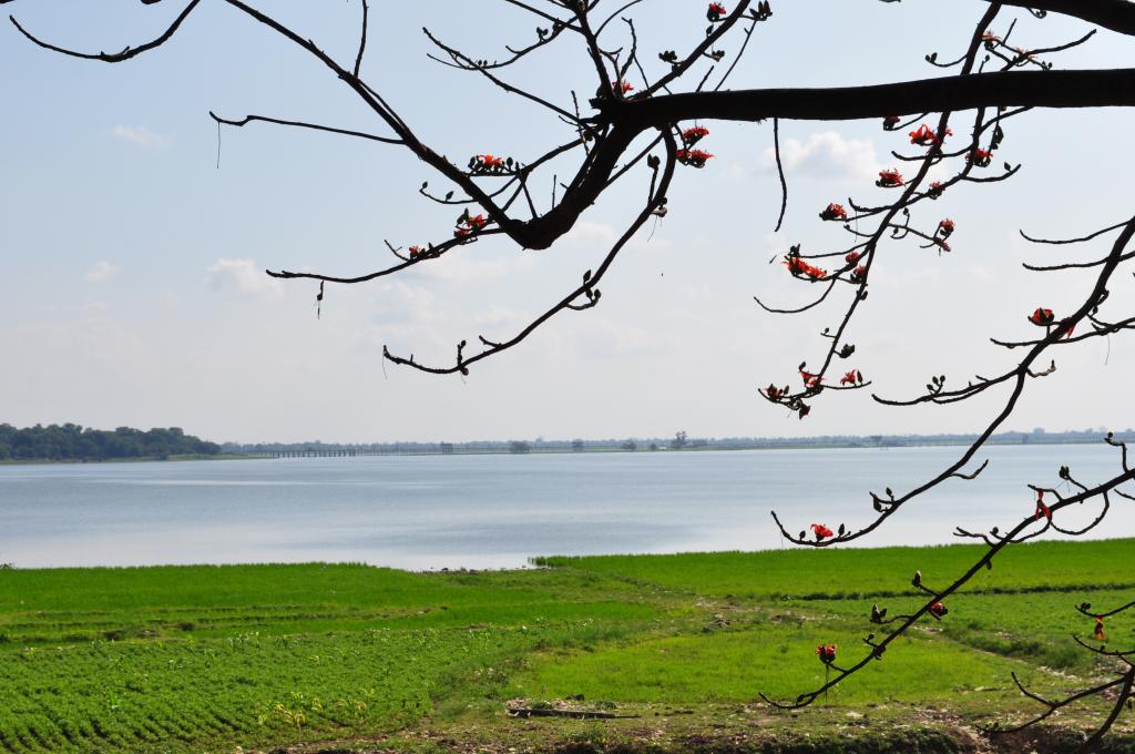 Mandalay17_zps09e34f90.jpg