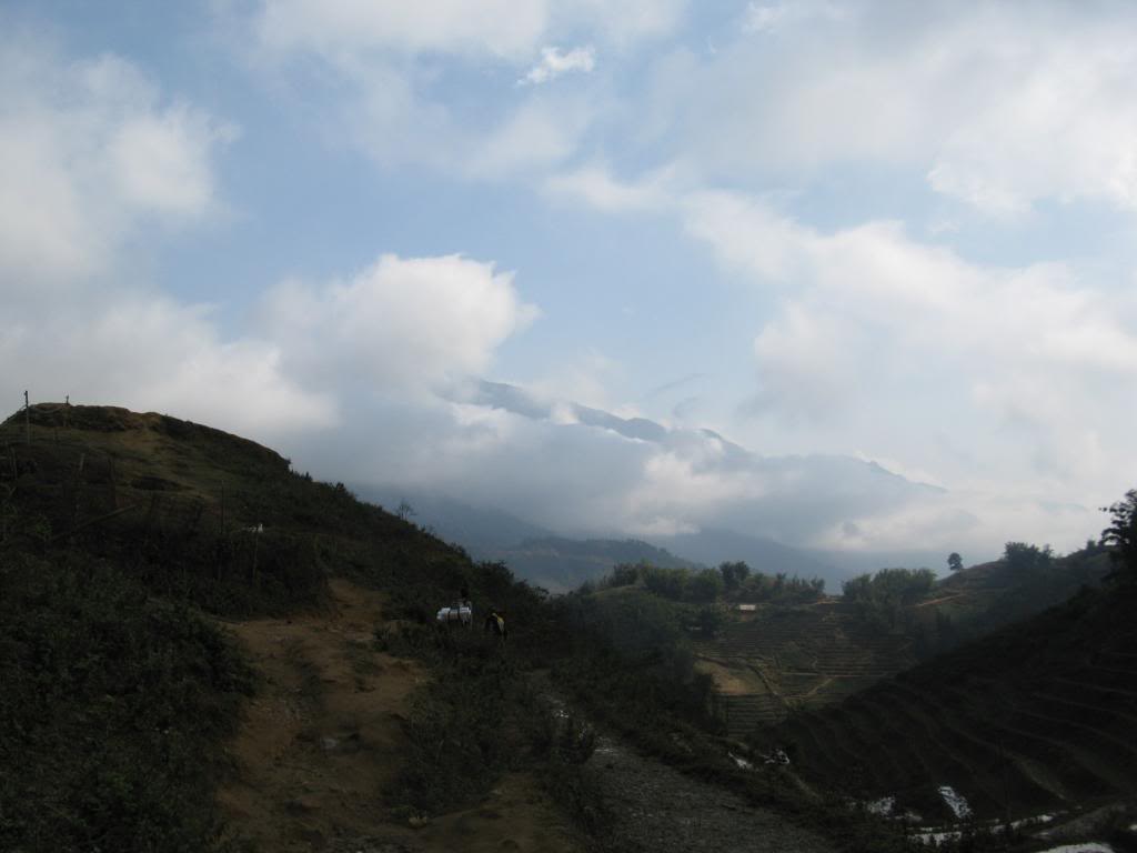 IMG_4325_zps79bb6613.jpg
