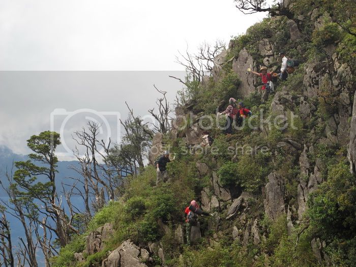 IMG_2167_zps06cf3b98.jpg
